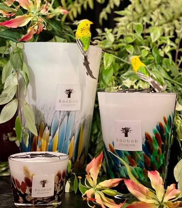 146542364 3518768768246535 8529783945882001743 O